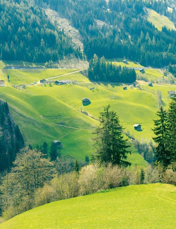 Villa Schösserhof Zell am Ziller Exterior foto